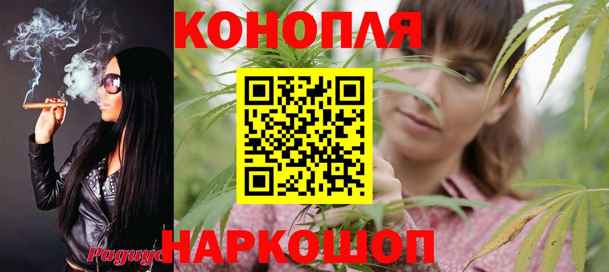 Конопля LSD WEED Кисловодск